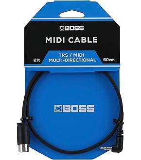 KORG D3200 ペダル PS-1, USB ケーブル, ソフトケース付 KORG PS-1 [ペダル・スイッチ] ｜イケベ楽器店オンラインストア